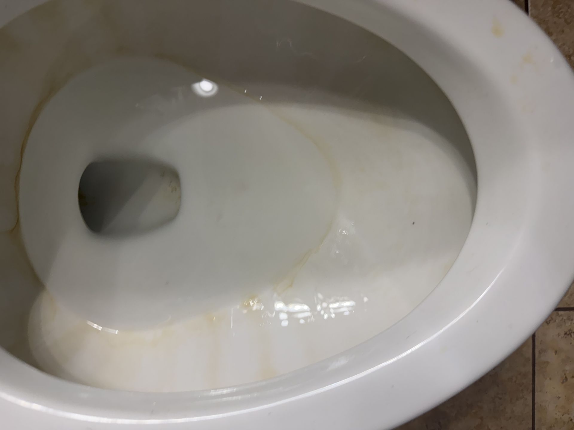 IMG 2655